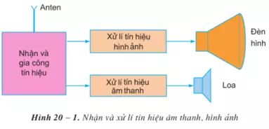 Lý thuyết  <a href='http://nisshin.edu.vn/giai-sgk-cong-nghe-12-bai-20-may-thu-hinh-may-thu-hinh-mau-va-nguyen-ly-hoat-dong-a2005.html' title='công nghệ 12 bài 20' class='hover-show-link replace-link-656'>công nghệ 12 bài 20<span class='hover-show-content'></span></a> : Máy thu hình hay, ngắn gọn
