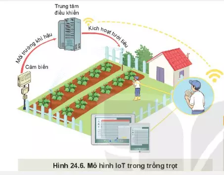 Ứng dụng công nghệ IoT trong trồng trọt