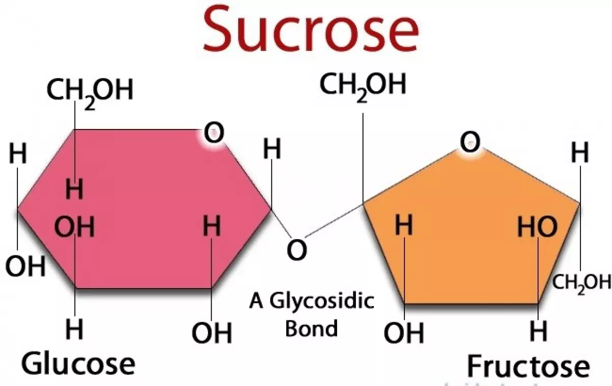 Cấu tạo phân tử của Sucrose